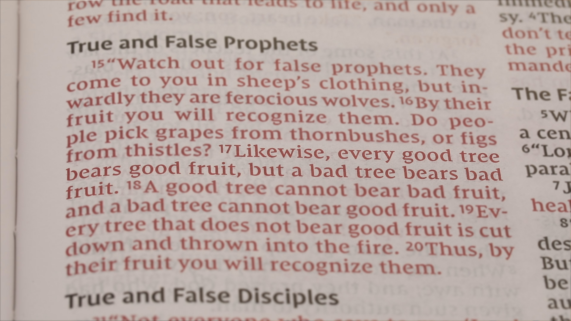 Bearing Bad Fruit